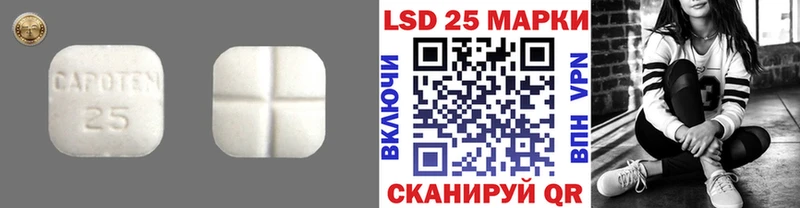 купить закладку Новоалександровск omg как зайти Лсд 25 экстази кислота