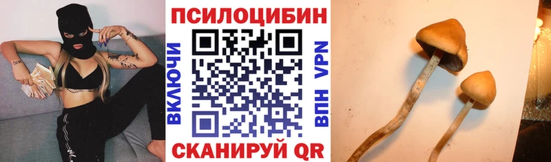 Псилоцибиновые грибы Magic Shrooms  Новоалександровск 