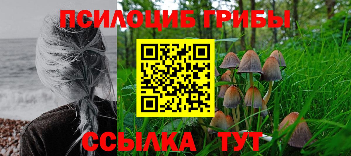 Галлюциногенные грибы GOLDEN TEACHER  Вход с VPN  Новоалександровск 