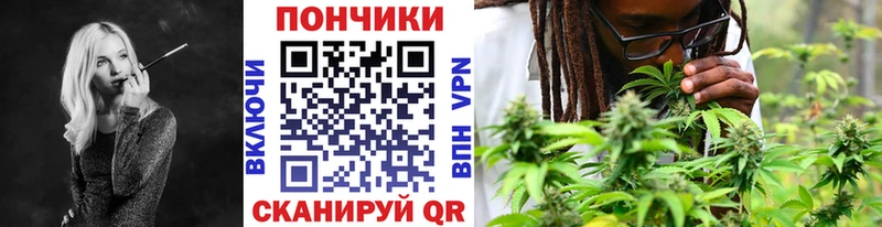 хочу наркоту  Новоалександровск  Канабис сатива 